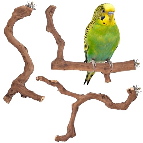 3-Piece Premium Bird Perch Stand with Natural Grape Wood Branch, Paw Grinding Fork, Chewing Stick, Cage Accessories for Parakeets, Budgies, Cockatiels, Finches, Lovebirds - size: 3Piece