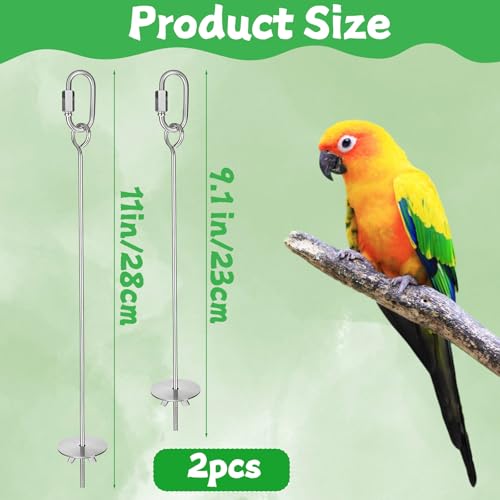 2 Pcs Birds Cage Food Holder with Hook, Budgie Cage Accessories Bird Fruit Feeder Vegetable Stainless Steel Birds Feeder Hanging Foraging Toy for Cages Macaw Parakeet Parrot (2 Sizes 11 and 9.1 inch)