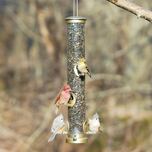 Aspects Small Seed Tube Feeder in Blue Size: Large, Finish: Antique Brass - color: Antique Brass, size: Large