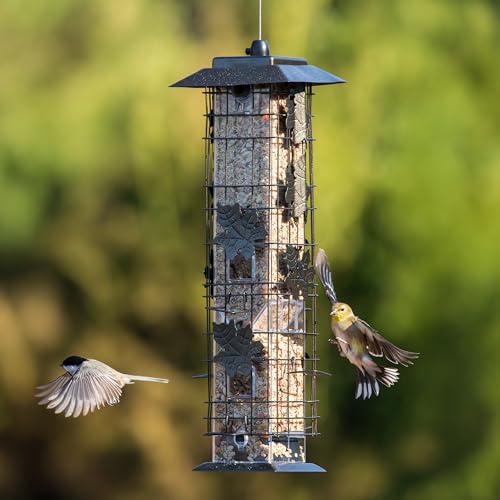 Perky-Pet Squirrel-Be-Gone Bird Feeder, 2 lb Seed Capacity | Weight-Activated Squirrel Proof Bird Feeder, Wild Bird Feeder for Outdoors with U-Shaped Perches and Clear Seed Reservoir