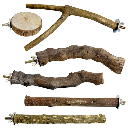 6 PCS Bird Perch Set Natural Wood Parrot Stand Branch Hanging Parakeet Chewing Stick Paw Grinding Fork Platform Bird Cage Accessories for Cockatiel Budgies Conure (Small - size: Wooden:7.87 Inch