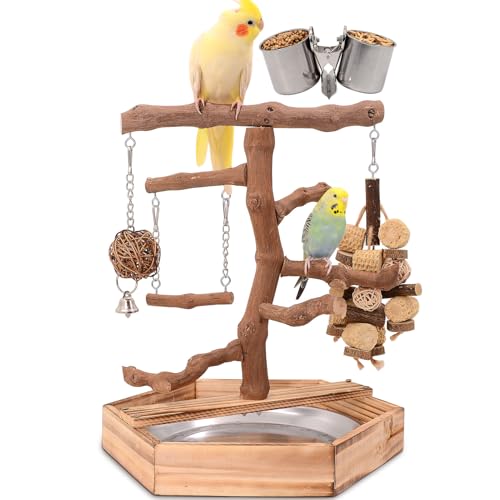 LIMIO Natural Grape Wood Bird Parakeet Playground - Perch Stand for Parakeets, Cockatiels, and Small Birds Toys