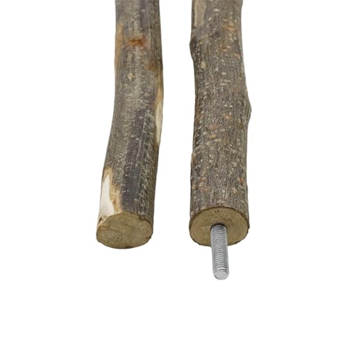 Bird Swing Parrot Perch Stand, Natural Wood Parrot Cage Toys | For Parakeet Cockatoo Budgie Lovebirds Cockatiel, Small Animal