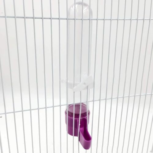 1Pc Parakeet Water Dispenser Hanging Plastic Automatic Feeder for Cage No Spill Food Container for Small Medium Birds Parrot Toys African Grey for Parrots Conure Macaw Parrot Toys (Random Color)