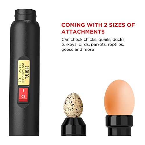 Blife Wired LED Egg Candler, Bright Cool Light Egg Candler Tester for Monitoring Egg Development with 2 Soft Rubber