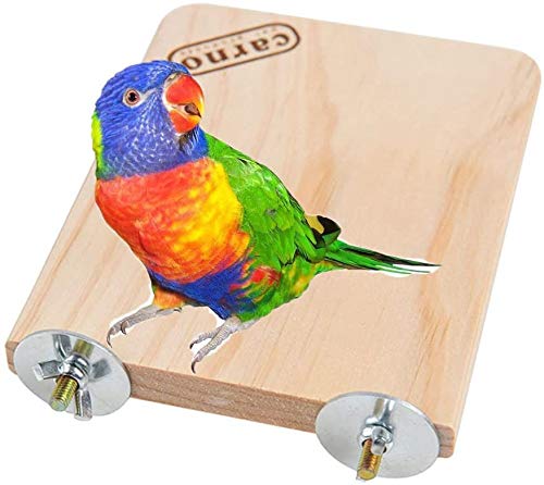 Litewoo Bird Wood Perch Platform Stand Shelf for Parrot Budgie Parakeet, M | Natural wood, smooth sanded surface for chew/stand, for small-medium birds/cockatiel/conure/cockatoo/cage, 7.09x5.12x0.59in