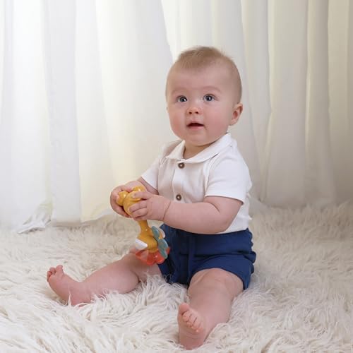Tolo Crazy Eyed Bird | Interactive Toy for Babies 3+ Months Teething Relief | movable eyes, clicking head & feet, squeaking wings, rattle sound, sensory, teething baby toys, developmental play, fun gift - color: Crazy Eyed Bird