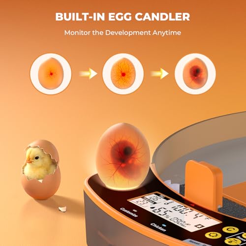 48 Egg Incubator - Incubators for Hatching Chicken Eggs with Egg Candler, Temperature & Humidity Control, Auto Egg Turner, and Abnormal Alarm - size: 48 Gggs