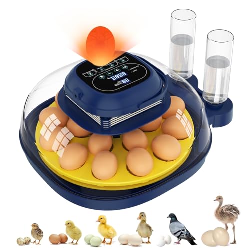 18 Egg Incubator for Hatching Eggs with Automatic Turning, Digital Temperature & Humidity Control, Built-in Egg Candler & Auto Water Refill, 360° Clear View for Chicken - color: Deep Blue+Yellow