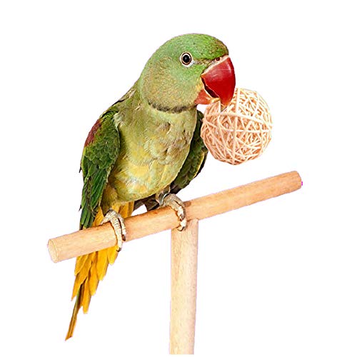 Tfwadmx 10 Pcs Willow Ball, Bird Foraging Toys, Small Animal Chew Toy Activity for Parrot Macaw Hamster Guinea Pig Rat Parakeet Cockatiels Conure Finch Budgerigar Lovebird - size: 1 In