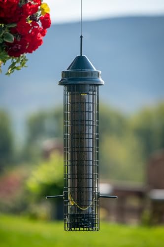 Squirrel Buster® Nyjer® – Squirrel-Proof Nyjer®/Thistle 2.4-pound Seed Capacity Feeder w/8 Feeding Ports & 4 Perches, Easy Fill & Clean, Durable Outdoor Feeder for Finches, Goldfinches & Small Birds | Eight ports, four perches, easy-fill design, UV-resist