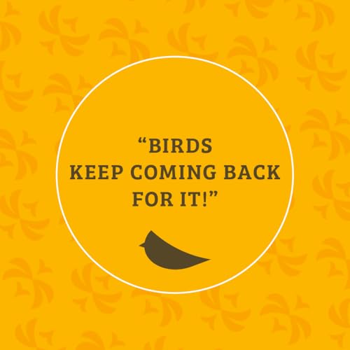 Birds Choice Bugs 'N Nuts Cylinder Seed | Wild Bird Food with Insects & Fruit | High-Energy Mix of Sunflower Hearts, Peanuts, Mealworms & Tree Nuts | High Protein & Bird Feed | 5.5 lbs (2-Pack) | High-Energy Mix of Sunflower Hearts, Peanuts, Mealworms and