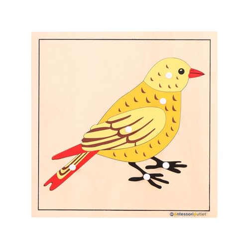 Montessori Bird Anatomy Puzzle, Wooden Body Parts Learning Toy, Preschool Science Puzzle for Kids Ages 3-6, Classroom & Homeschool, Baltic Birch - color: Bird