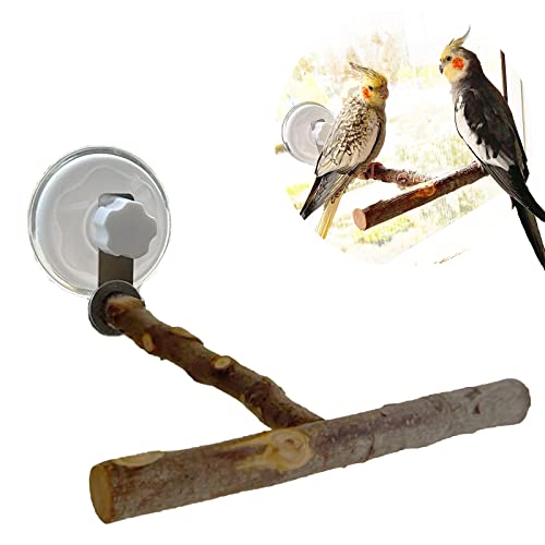 Portable Bird Perch Stand- T-Shaped Natural Apple Wood with Vacuum-Grip Suction Cup for Windows, Flat Tiles, Bath/Car/Travel - Durable & Safe for Parrots, Cockatiels, Lovebirds (Small to Medium Birds)