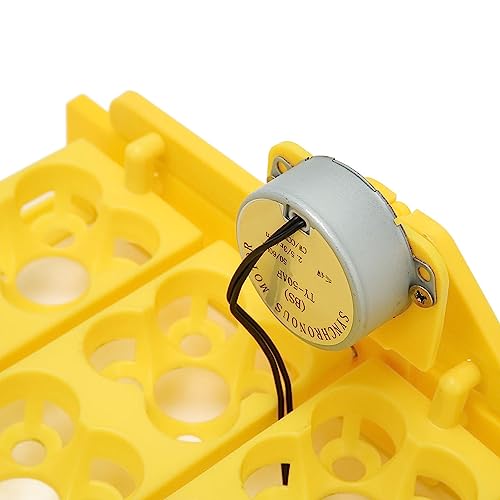 Automatic Egg Turner Tray - Multifunction Incubator Tray for 16 Duck Eggs, 72 Quail Eggs (AC110V) - size: AC110V