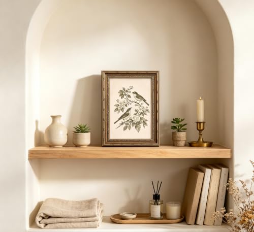 Vintage Gold Framed Bird Wall Art, Birds on Floral Branch Canvas Print, Antique Neutral Cottagecore Wall Decor, Retro Sepia Sketch Wildlife Botanical Poster Artwork for Bedroom Living Room - color: Bird-2, size: 16"L x 12"W