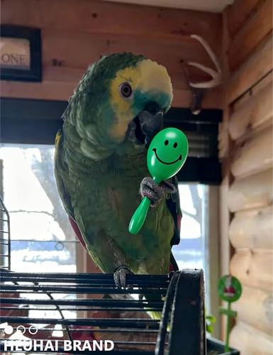 12 Pack Colorful Bell Balls Bird Toys for Parakeets | Parrots, Small and Medium Birds, 1.6 in - 2.8 in - size: 1.6'' - 2.8''