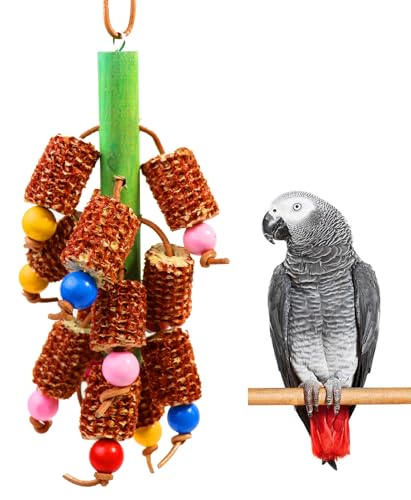 Bird Chew Toys, Natural Corn Cob Parrot Toys for Small/Medium Birds | Natural Corn Cob, Bird-Safe Dyes, Can Hung Inside the Cage, Promotes Beak Health, For Cockatiels, Conures, Lovebirds & More