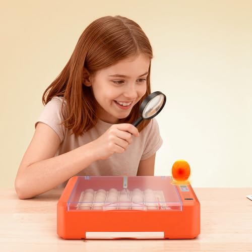 VEVOR 36 Egg Incubator, Automatic Egg Turner with LED Candler & Water Tray, Temperature & Humidity Control, 360° View Clear Window, Poultry Eggs Incubators for Hatching Chicks Ducks Goose Quails - size: 36 Eggs