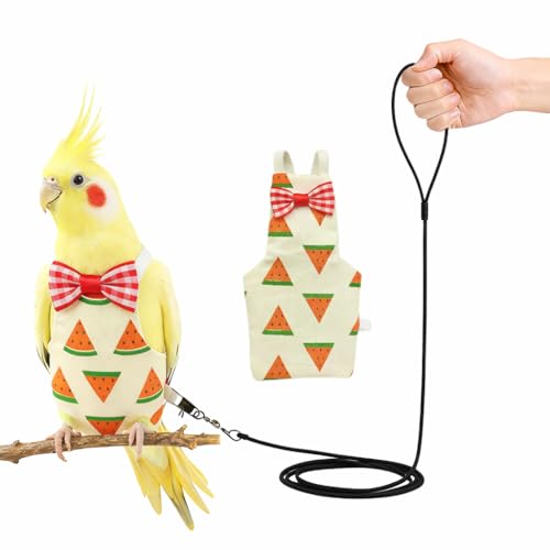 Cockatiel Conure Bird Diaper and Leash Set | Small Diaper and Harness, Washable, Reusable Flight Suit for Small Parrots - size: L