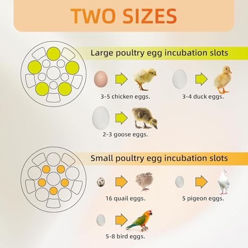 Small Household Egg Incubator USB Powered Transparent Observation Cover with Egg Projector can Hold 5 Eggs