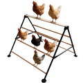 XCL Chicken Roosting Bars, Large Chicken Perch for Coop, A-Shaped Chicken Perch for Adult Chickens, Easy to Install Farm Chickens Roost Toys, Suitable for Backyard Poultry Perches, Accessories (L) - size: L