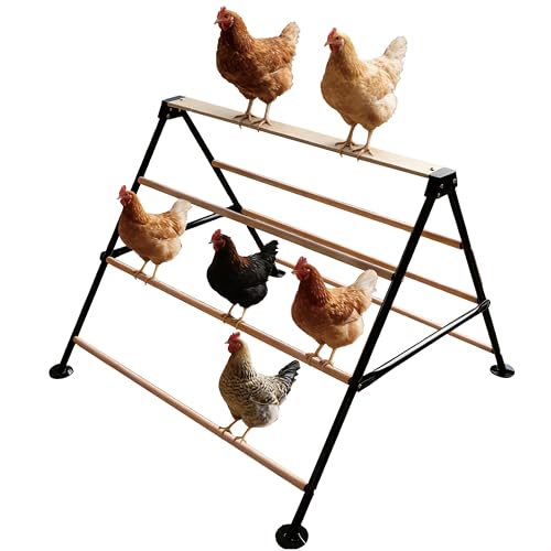 XCL Chicken Roosting Bars, Large Chicken Perch for Coop, A-Shaped Chicken Perch for Adult Chickens, Easy to Install Farm Chickens Roost Toys, Suitable for Backyard Poultry Perches, Accessories (L) - size: L