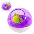 kathson Plastic Bird Nest Chewproof Small Bed with mat Hanging House Hut Bird Cage Breeding Hatching Nest Washable Parakeet Nest for Parrot Budgie Love Bird Canary (Purple) - color: Purple