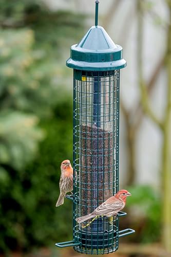 Squirrel Buster® Nyjer® – Squirrel-Proof Nyjer®/Thistle 2.4-pound Seed Capacity Feeder w/8 Feeding Ports & 4 Perches, Easy Fill & Clean, Durable Outdoor Feeder for Finches, Goldfinches & Small Birds | Eight ports, four perches, easy-fill design, UV-resist