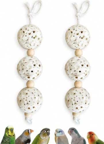 Shred and Destroy Bird Toy for Small Birds - Budgies, Lovebirds - Natural Sola Ball Hanging Chew Toy - 2 Pack - Boredom Buster Cage Toy