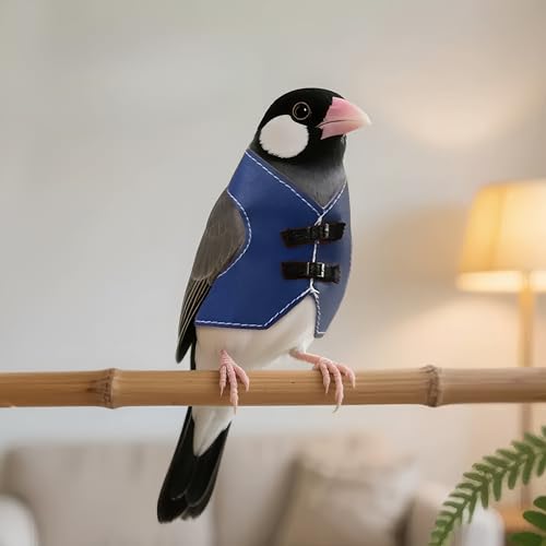 Bird Clothes, Parrot Leather Jacket, Cute Bird Costume Cosplay Photo Prop, Parrot Apparel for Eclectus, Budgerigar, African Greys Parakeet, Conure, Cockatiel, Love Birds-Cowboy Style,Blue,M - color: Blue, size: Medium