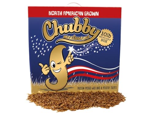 Chubby North American Grown Dried Mealworms | 10 lbs | Non-GMO High-Protein Treats for Chickens, Ducks & Wild Birds – Sustainable Chicken Feed - size: 10Lbs