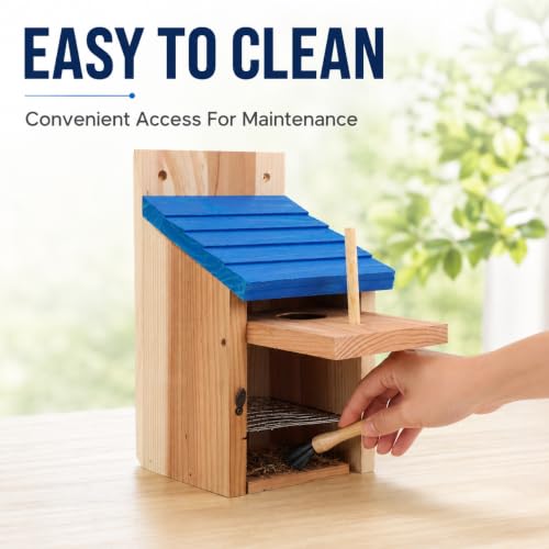 Wooden Birdhouse, Natural Cedar Nesting Box with Blue Roof, Predator Guard, Cleanable Door for Finch, Wren, Sparrow