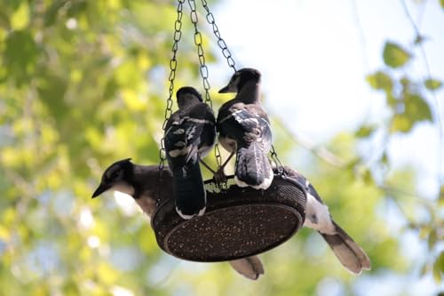Hanging Bird Feeder, Birdfeeder Hanging for Garden Yard Outside Hanging Bird Feeder Tray - Metal Mesh Platform Feeders for Birds Outside Outdoors Hanging for Attracting Birds, 1Pcs - size: 1 Pack