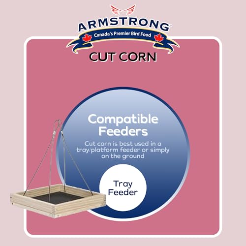 Armstrong Wild Bird Food Cut Corn, 23 Pounds - Premium High-Energy Feed for Mourning Doves, Blue Jays, Ducks & Deer - Ideal for Backyard Feeders, Ground Feeding & Outdoor Wildlife - size: 23lbs