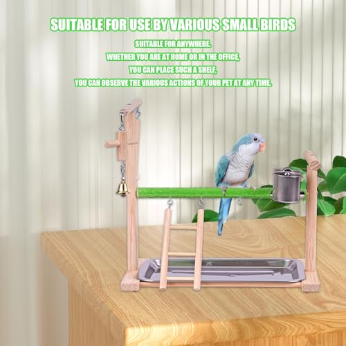 Bird Playground, Natural Wood Bird Perch Stand with Removable Tray and 2 Stainless Steel Feeder Cups, Parrot Playstand Bird Cage Toys for Conure Parakeet Cockatiel Parrot (C) - color: C
