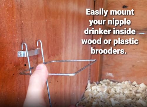 RentACoop Wire Bracket for Small Animal Drinking Bottle (32 oz/1 Liter) - size: 32 oz