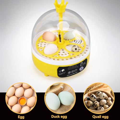 Mini Egg Incubator, 4 Egg Incubator Household Hatching Machine Automatic Temperature Humidity Control for Farm, Classroom, Home Use (Auto Turning) - style: Auto Turning