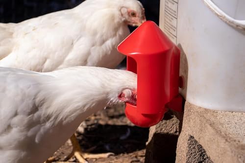RentACoop Anti-Dirt Chicken Water Cup Covers - 6 Pack