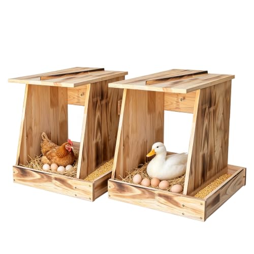 2 Pack Handcrafted Solid Wood Chicken Nesting Boxes – Outdoor Laying Box for Hens & Ducks, Easy to Mount & Clean, Perfect for Backyard Coop, Garden & Patio