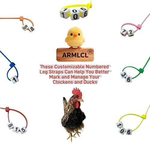 Vibrant DIY Number and Letter Chick Chicken Leg Bands - Easily Identify and Management Your Poultry with Colorful Leg Bands - Perfect for Chicken,Duck,and Goose Owners (180, Number) - color: Number