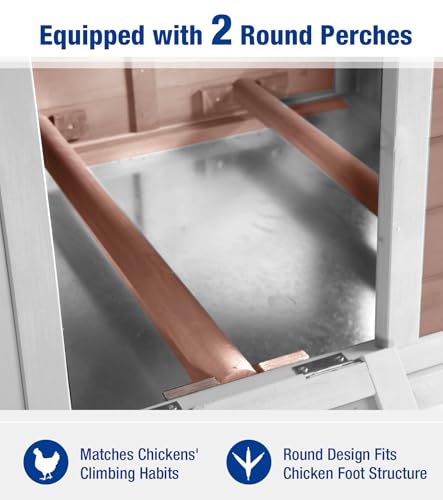 Chicken Coop Outdoor Weatherproof Chicken House with Lockable Nesting Box Slide-Out Cleaning Tray 2 Round Perches & Elevated Predator-Proof Base for 2-4 Chickens Ducks Brown - color: Brown