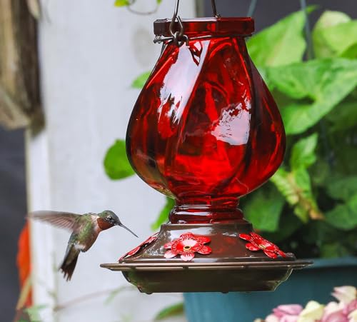 Glass Hummingbird Feeders for Outdoors Hanging, Ant Moat, Red, 22oz | 5 Feeding Ports, 360° Perch, Leak Proof, Easy Refill & Clean, Attractive Garden Decor, Birthday Gifts for Women Men Mom Dad - color: Ruby Red