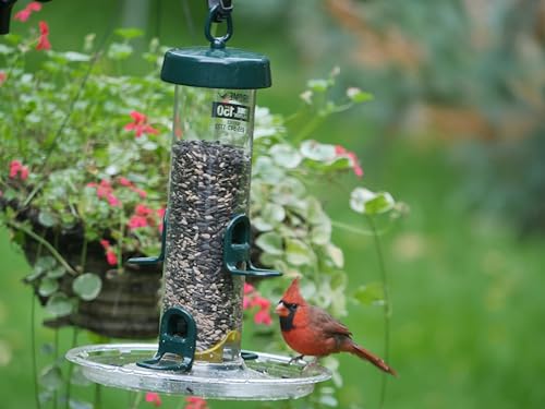 Brome Seed Tray – Compatible ONLY with Tube Solution 100, 150 & 200, Catches Spilled Seed, Reduces Waste, Extra Perching Space, Durable & Easy to Clean