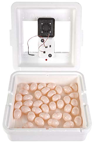 Little Giant White Miller Manufacturing Company 9300 Digital Still Air Incubator