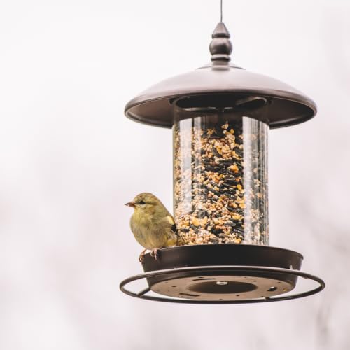Metal Bird Feeder for Outside Hanging,Wild Bird Feeders for Cardinal, Large Roof and Tray - 6 Port - color: Chestnut Brown