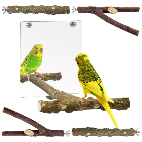 BNOSDM 5PCS Bird Perches Stand with Mirror Parrot Wood Stick Perches | Natural Forked Perch Branch Parakeet Toy Set Bird Cage Accessories for Budgie Cockatiel Conure Finch Lovebird