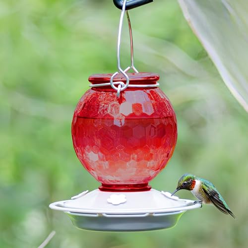Crimson Comb Recycled Glass Hummingbird Feeder for Outdoor Décor, 16 Ounce Capacity Nectar Feeder, 4 Removable Easy Clean Ports, Red - style: Crimson Comb