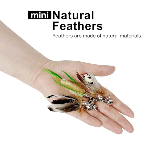 TTcat 3 Pack Mini Natural Feather Cat Wand Refills, Small Detachable Clip-on Feather Replacement Attachments with Bells, Universal Lobster Clasp Cat Teaser Refills, Hunting Prey Toy for Indoor Cats. - color: 3Pcs (Mini Insects)