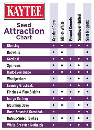 Kaytee Seed & Suet No Mess Blend Blueberry Flavor 10 Pounds - size: 10 Pounds (Pack of 1)